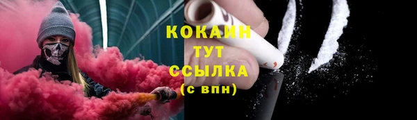 прущая мука Богородицк