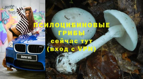 прущая мука Богородицк