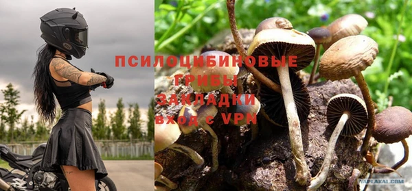 твердый Богданович