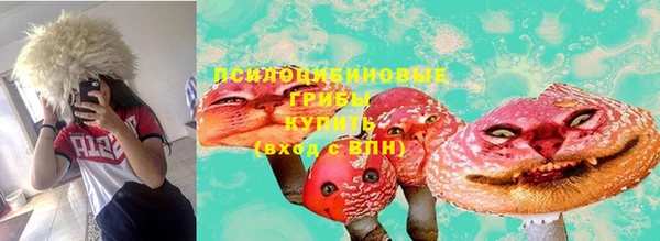 прущая мука Богородицк
